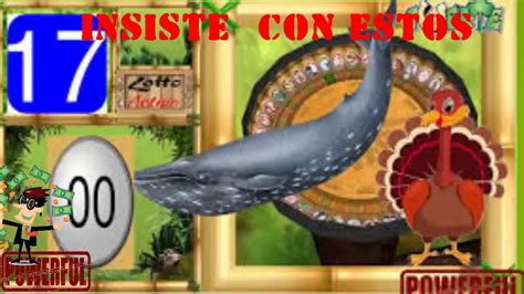 datos calientes de animalitos
